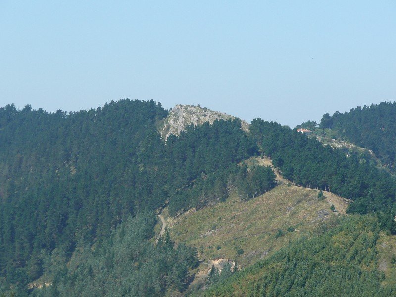 Pastorekortaburutik 