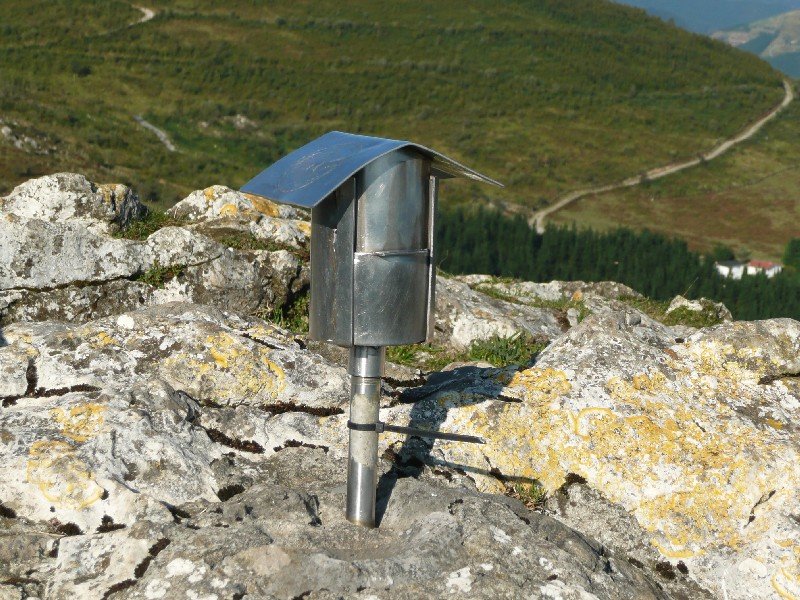 Buzoia