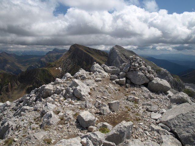 Gailurra