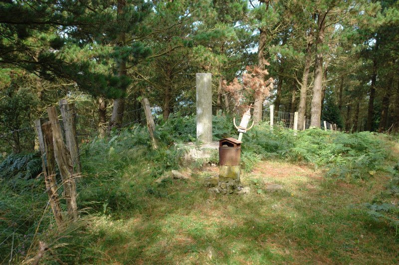 Tontorra