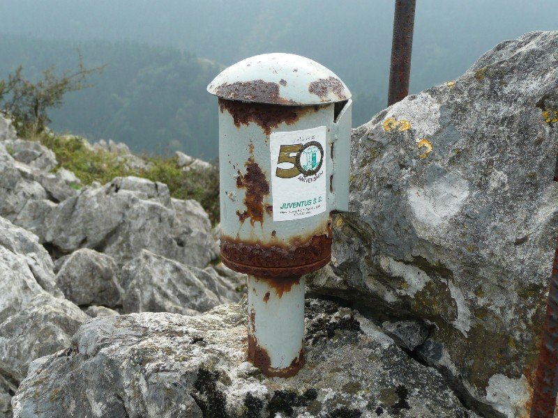 Buzoia