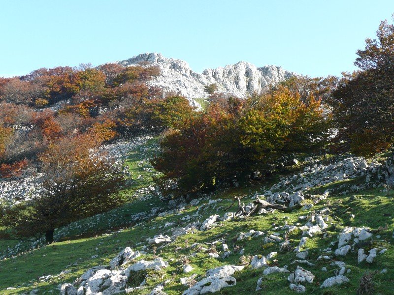 Tontorra