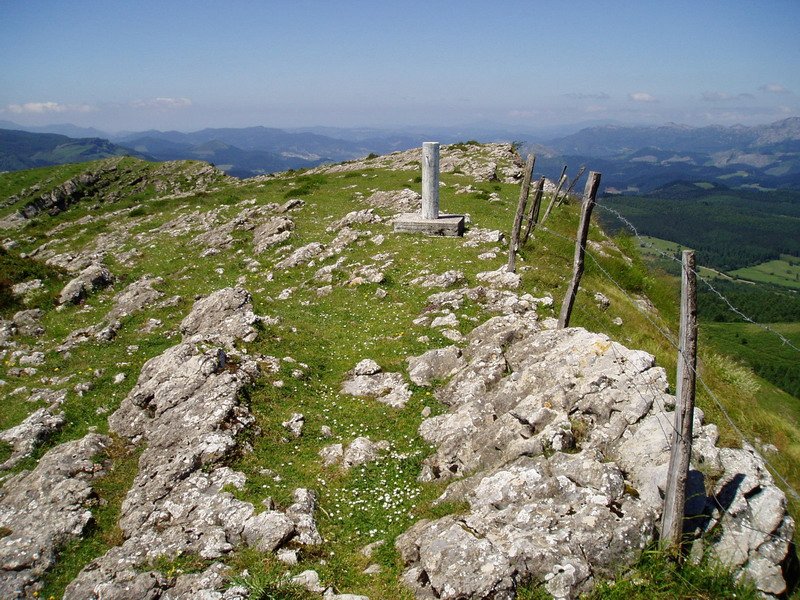Tontorra