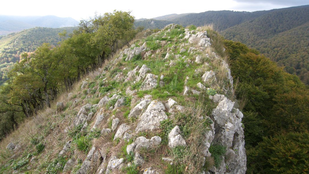 Tontorra