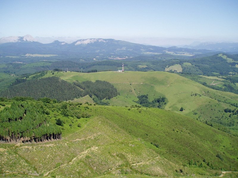 Arraldetik ikusita