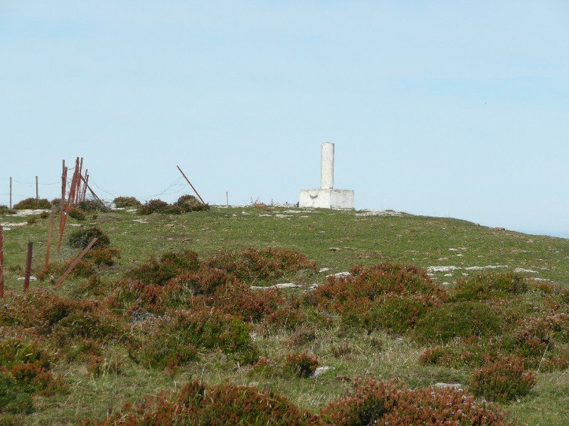 Tontorra