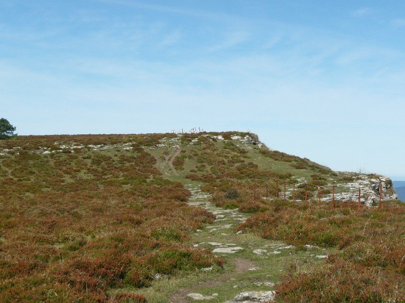 Tontorra
