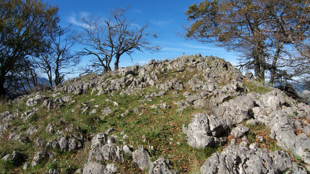 Tontorra