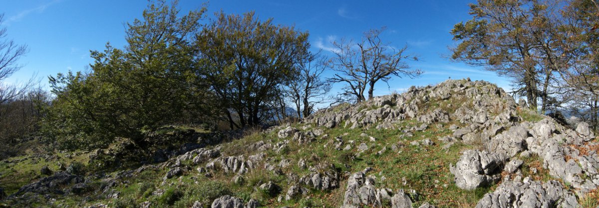 Tontorra