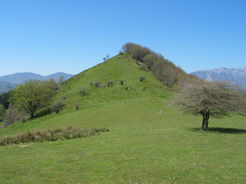 Ingurua