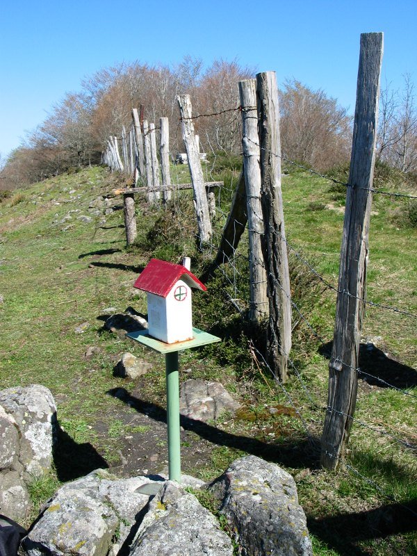 Buzoia