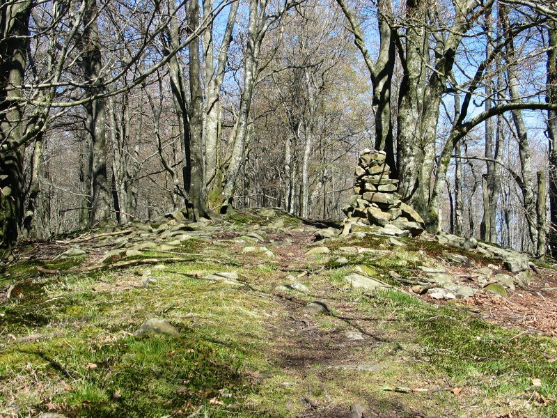 Aitxu tontorra