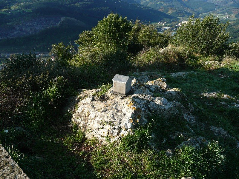 Buzoia