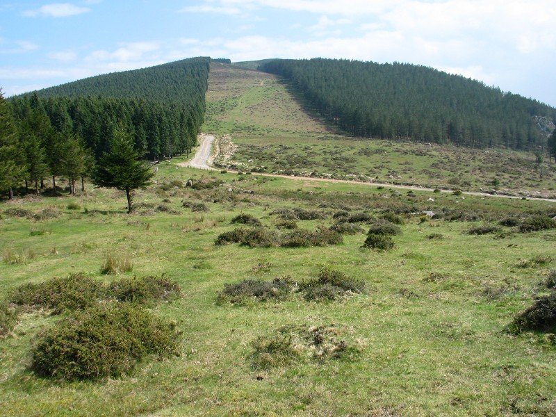 Ingurua