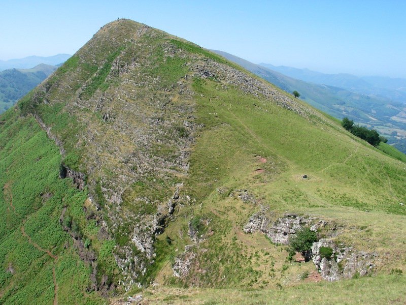 Ingurua