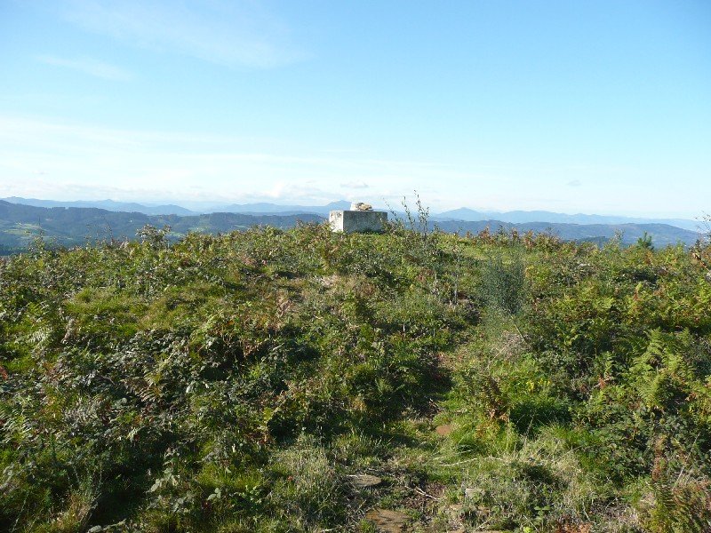 Tontorra