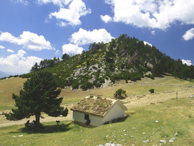 La Trapa aterpea