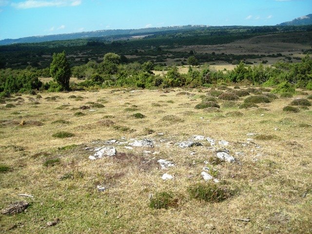 Soiluze  tumulua