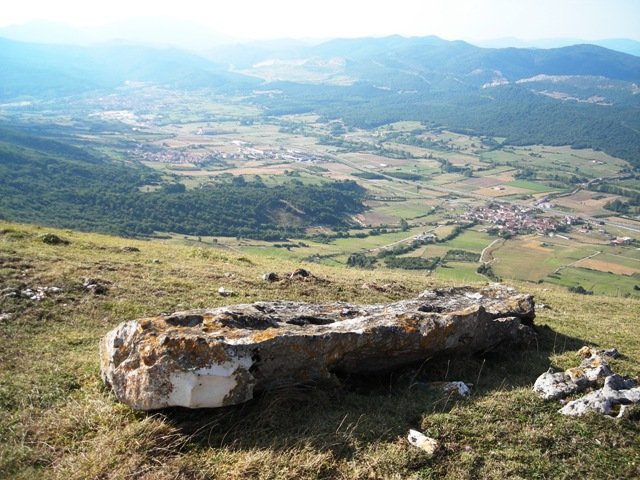 Oineta zutarria