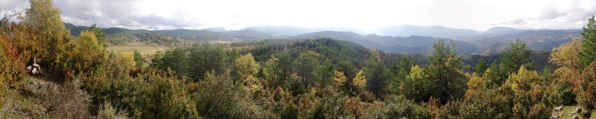 Paituko gailurra