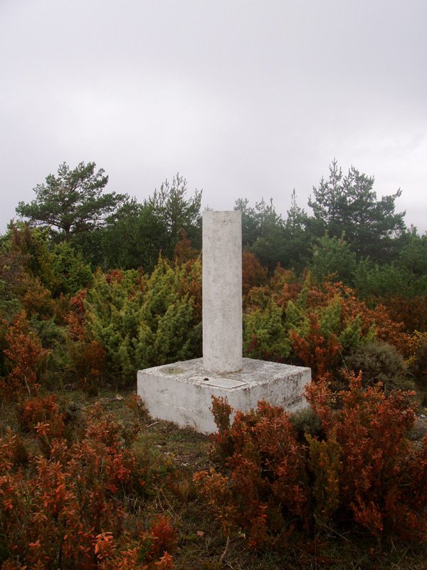 Torres, gailurra