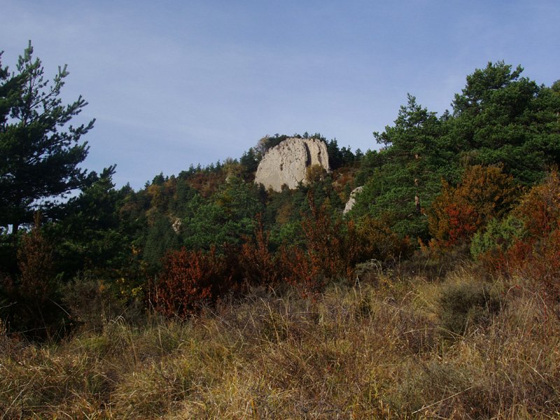 Atsagarbia