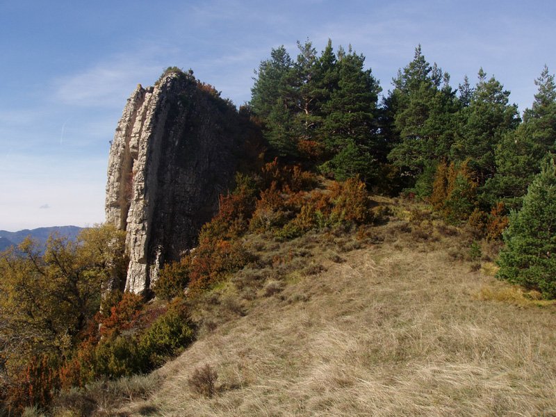 Atsagarbia