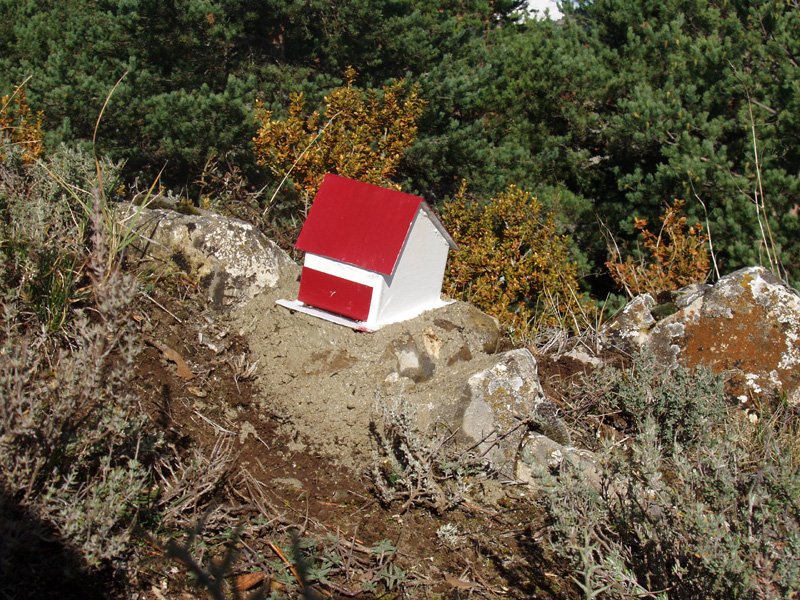 Txartelontzi berria