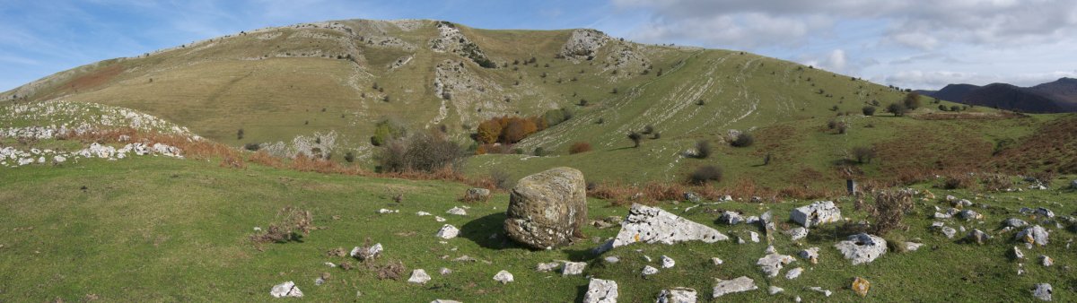 Ingurua