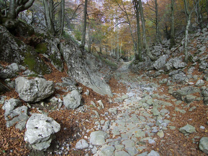 Baiarrateko estrata
