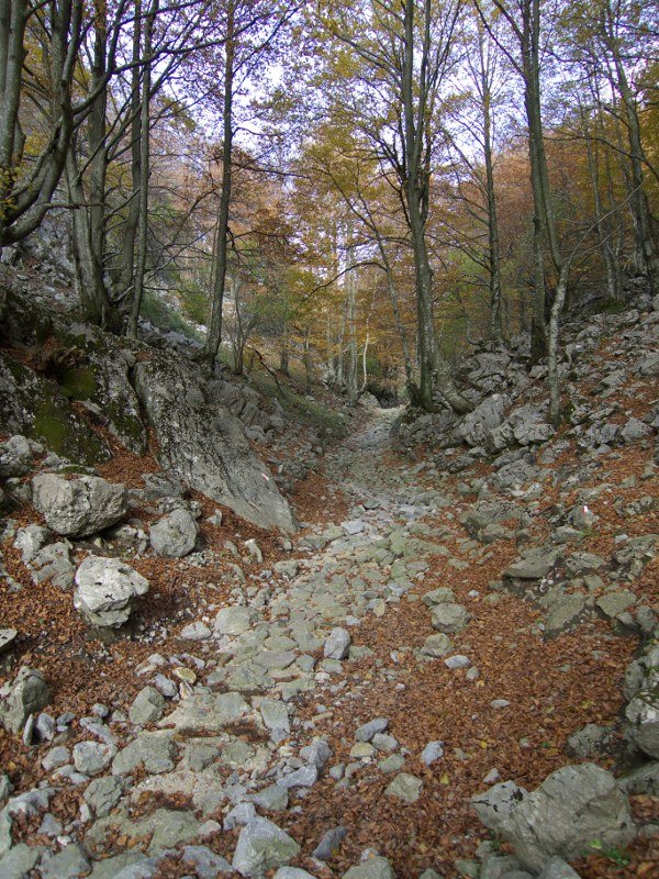 Baiarrateko estrata
