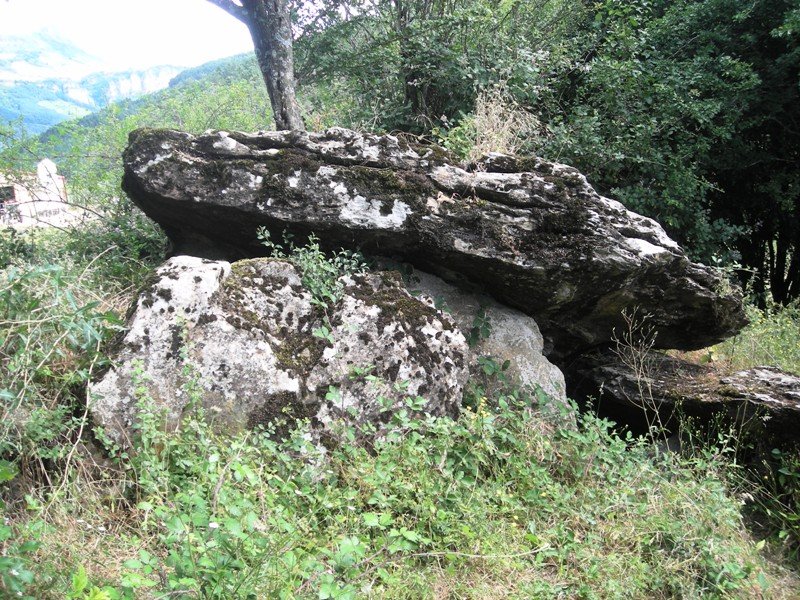 Sakulo trikuharria