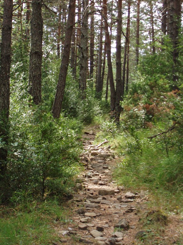 Antsoburuako bidea