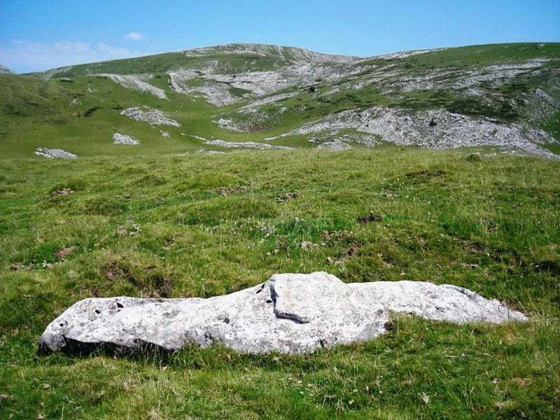 Arakil zutarria