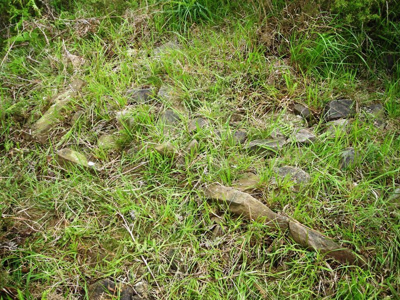 Matxeta trikuharria