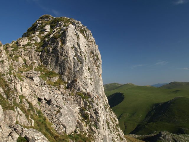Tontorra