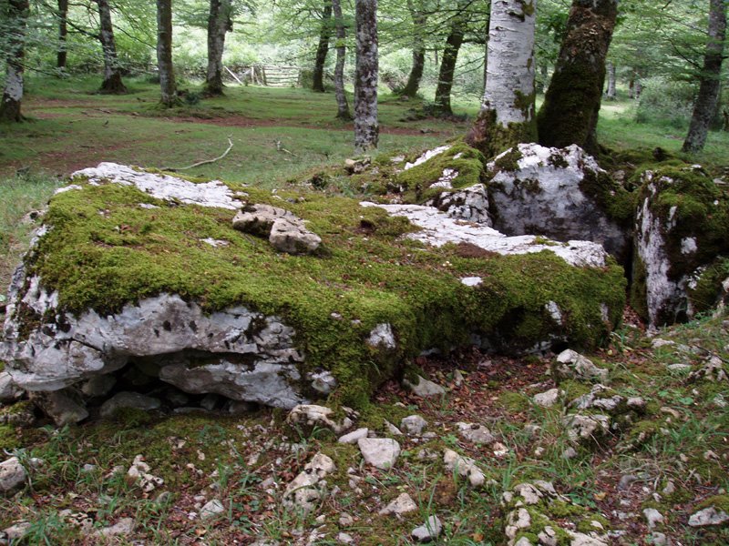 Txuritxoberri