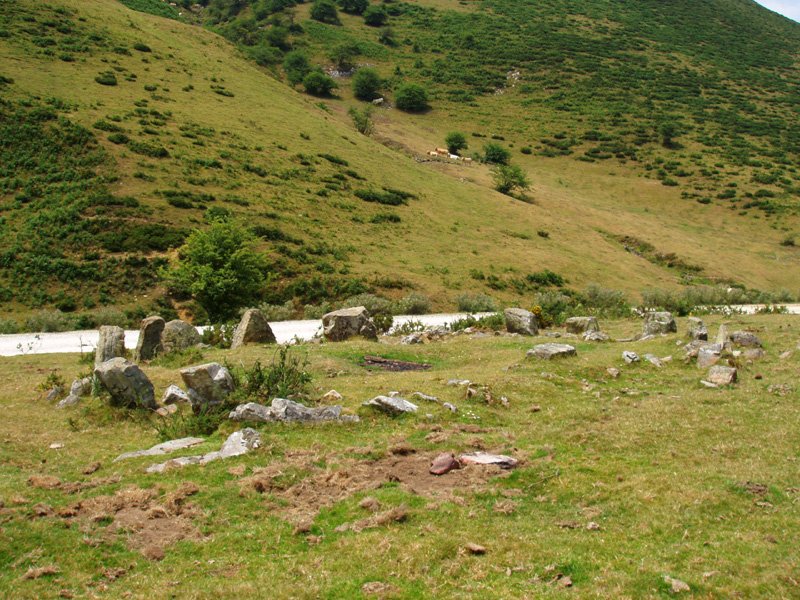 Xanxoten harria
