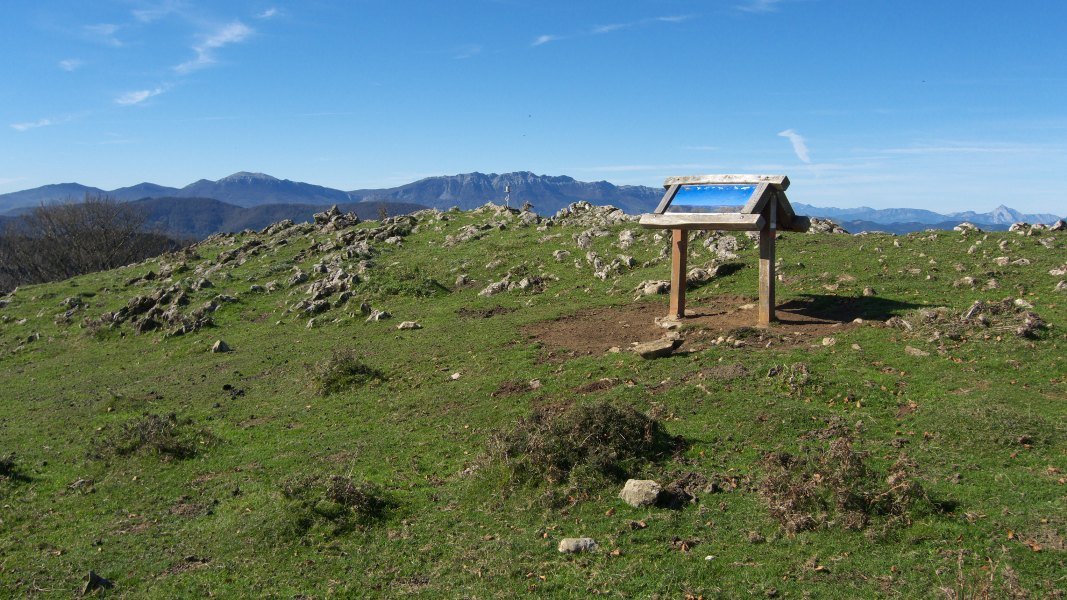 Tontorra
