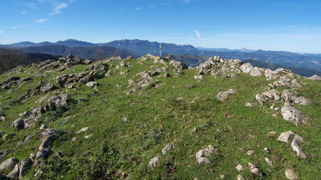 Tontorra