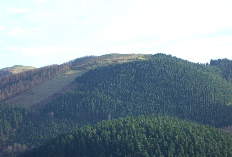 Akondia/Arrikurutz