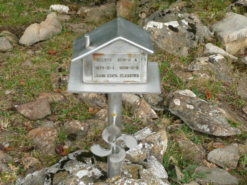 Buzoia