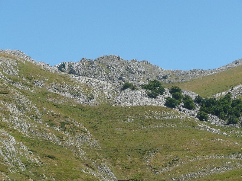Andraitz