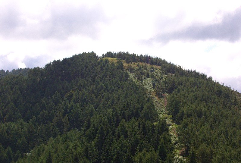 Azketa
