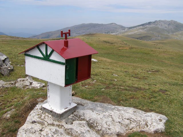 Buzoia