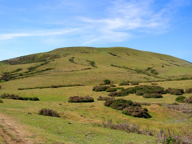 Tontorra