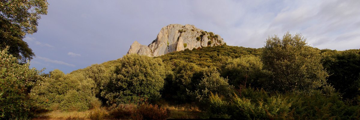 Untzue Haitza