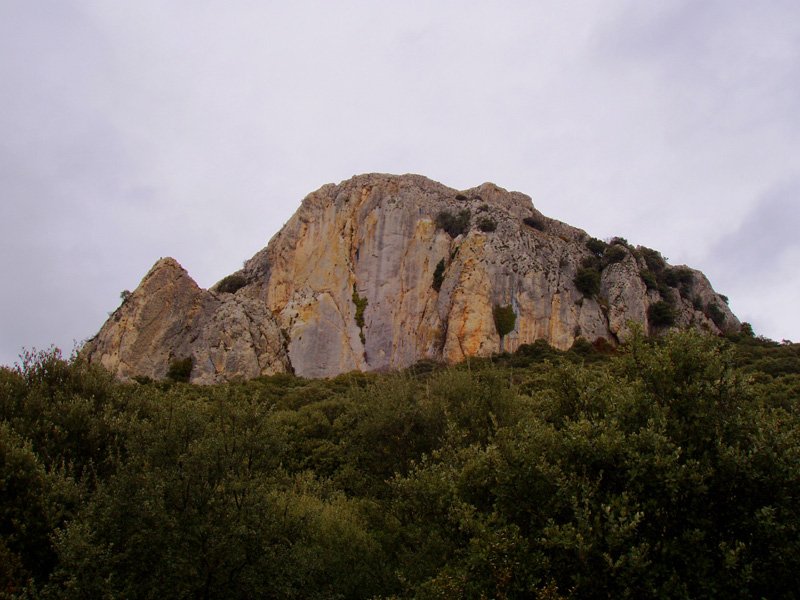 Untzue Haitza