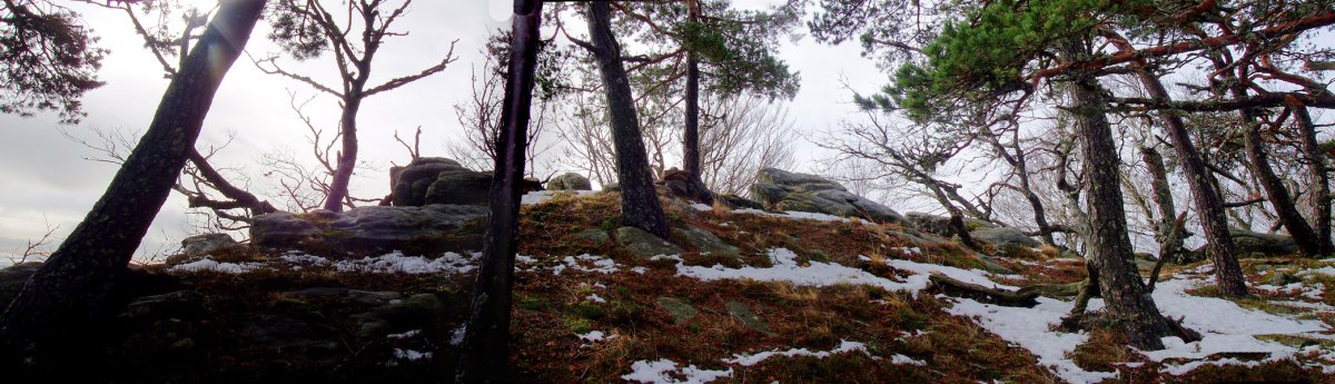 Oso-ko gailurra