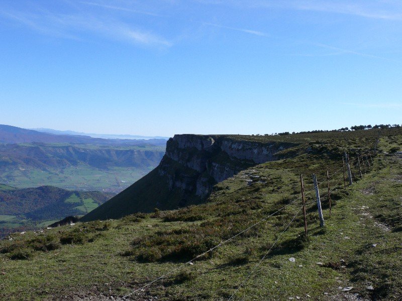 Bedarbide